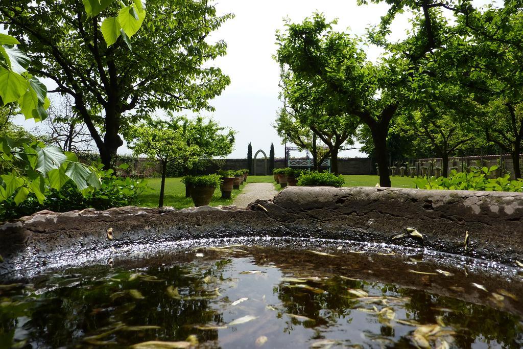 Villa Alberti Доло Екстер'єр фото