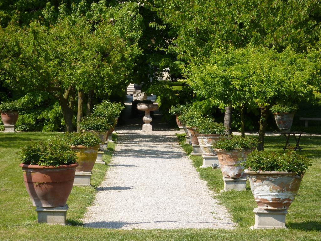 Villa Alberti Доло Екстер'єр фото